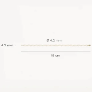 New Armband - 2253YPW Armbanden | Goud Geel