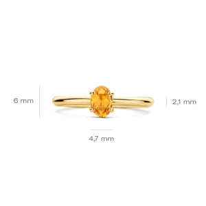 Fashion Ring 1242YCI Kleuren En Edelstenen | Ringen